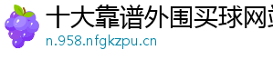 十大靠谱外围买球网站官方版